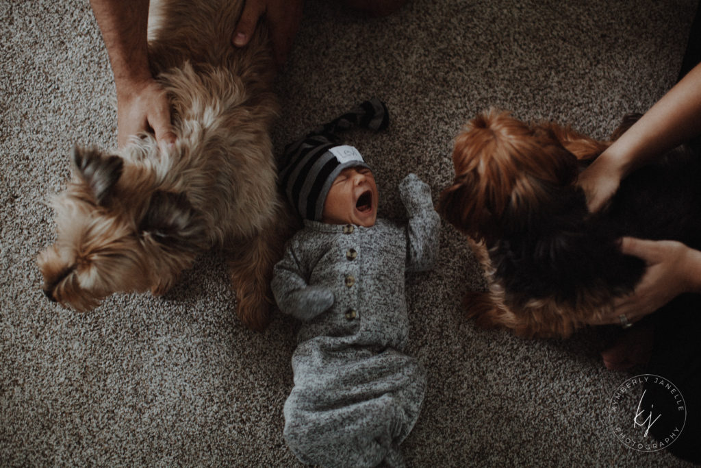 kansas city newborn session